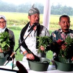 Petani Ansar (kanan) bersama Menteri Pertanian Syahrul Yasin Limpo dan Bupati Blitar Rini Syarifah mempraktikkan pembuatan bio SAKA dengan meremas dedaunan (Foto:sembada/rori)