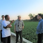 Agus Priyatno (kiri) kepada Direktur Perbenihan, Ditjen Tanaman Pangan Yudi Sastro sebut tanaman kedelai yang ada saat ini adalah calon benih mendaang (Foto:sembada/rori)