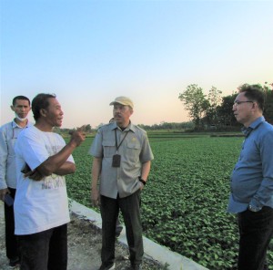 Agus Priyatno (kiri) kepada Direktur Perbenihan, Ditjen Tanaman Pangan Yudi Sastro sebut tanaman kedelai yang ada saat ini adalah calon benih mendaang (Foto:sembada/rori)