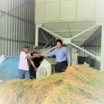 Henry Supardi (kanan) bersama Salam (petani, tengah) dan petani Samsuri seusai merontokkan padi yang baru dipanen dan segera dikeringkan (Foto:sembada/rori)