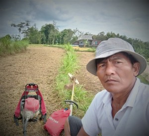 Menurut Taji,Ketua Kelompok Tani Sri Cahyo Mulyo Desa  Pagung, ada tiga jenis beras organik yang dihasilkan dan diminati konsumen saat ini adalah putih, merah dan hitam (Foto:sembada/dok-red)