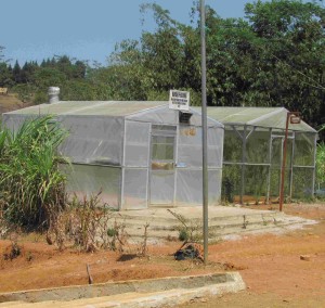Bangunan rumah kaca untuk pengeringan biji hanjeli terutama pada musim hujan. Bantuan ini bukan dari Dinas Pertanian Sukabumi maupun instansi sektor pertanian lain (Foto:sembada/rori)