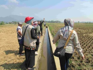 Para penyuluh dari BPP Cibeber UPTD Cilaku menelusuri saluran irigasi dari DI Cikondang ke Desa Cihaur untuk bertsama petani panen padi (Foto:sembada/rori))