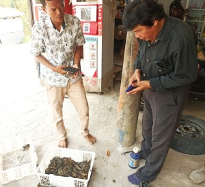 Nelayan sekaligus pengepul Desa Gilirejo baru Sumanto (kiri) kepada Henry Supardi dari Media Pertanian online www.sembadapangan.com (kanan) cerita udang dari Kedung Ombo sudah masuk ke restoran dan hotel di Jakarta (Foto:sembada/henry)
